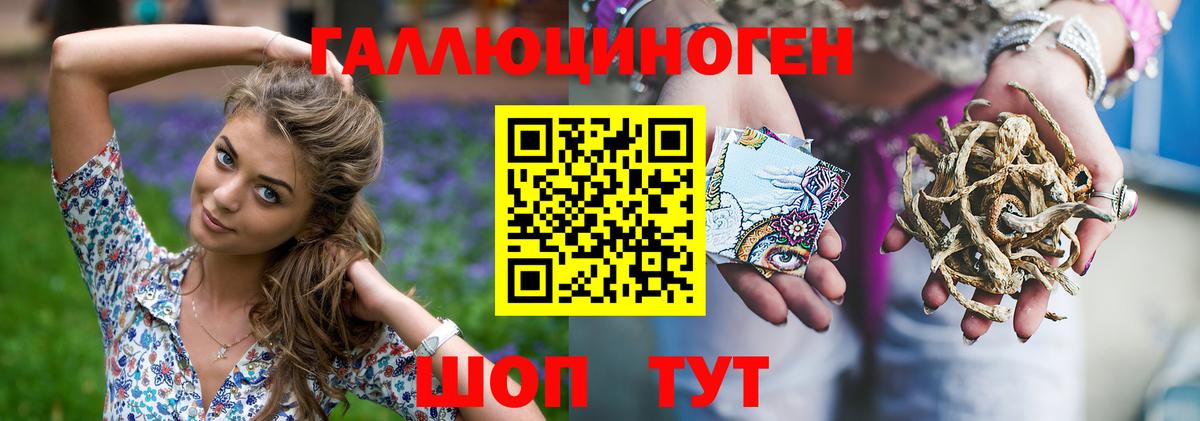 Псилоцибиновые грибы MAGIC MUSHROOMS  Вход с VPN  Новокубанск  Галлюциногенные грибы мицелий 