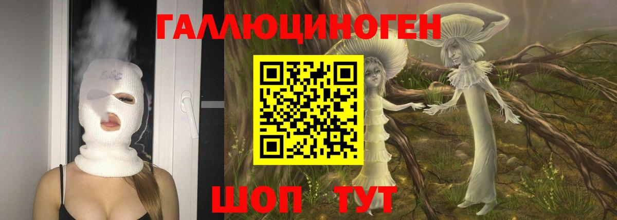 Псилоцибиновые грибы мухоморы Новокубанск
